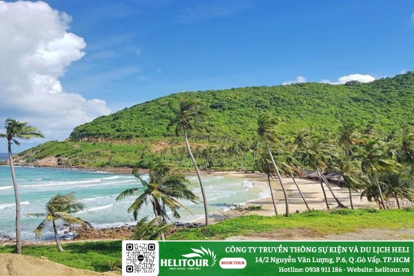 tham-quan-bai-cay-men