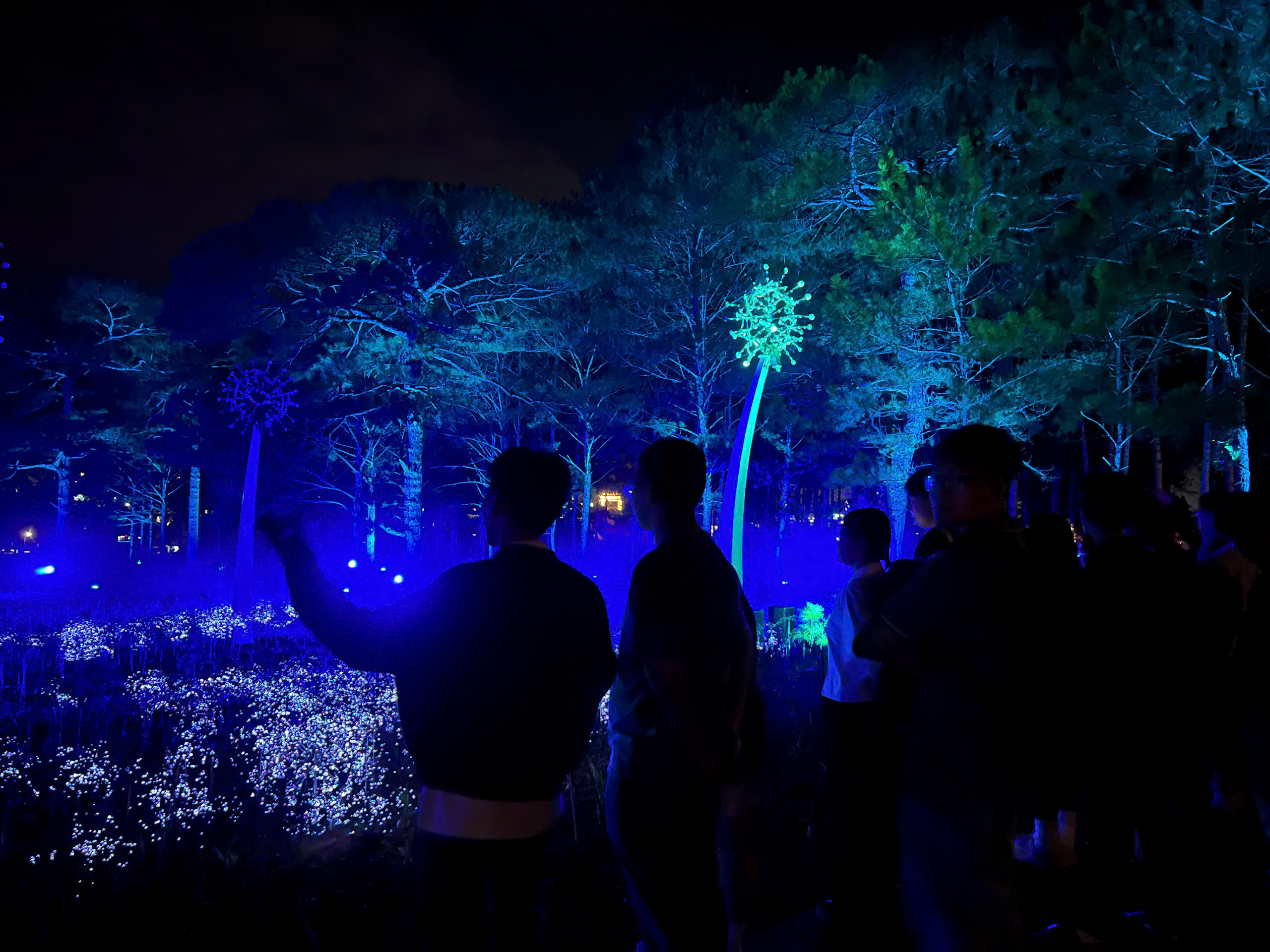 Công viên ánh sáng Delight park là một trong những địa điểm mới ở Đà Lạt