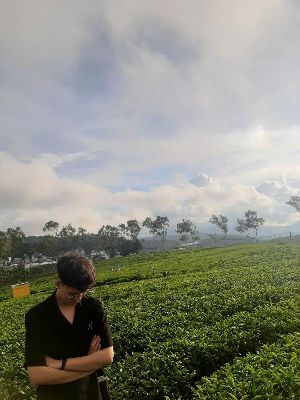 Khách du lịch check in tại đồi chè.