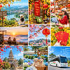 Tour Tết Đà Lạt 2027 - Helitour