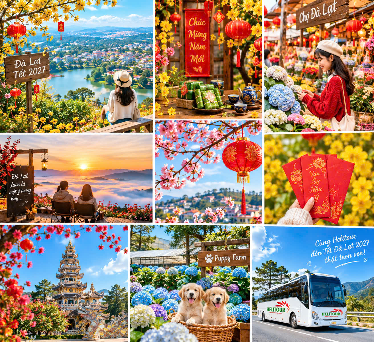 Tour Tết Đà Lạt 2027 - Helitour